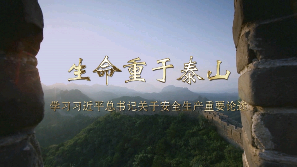 生命重于泰山 《生命重于泰山》電視專題片觀后